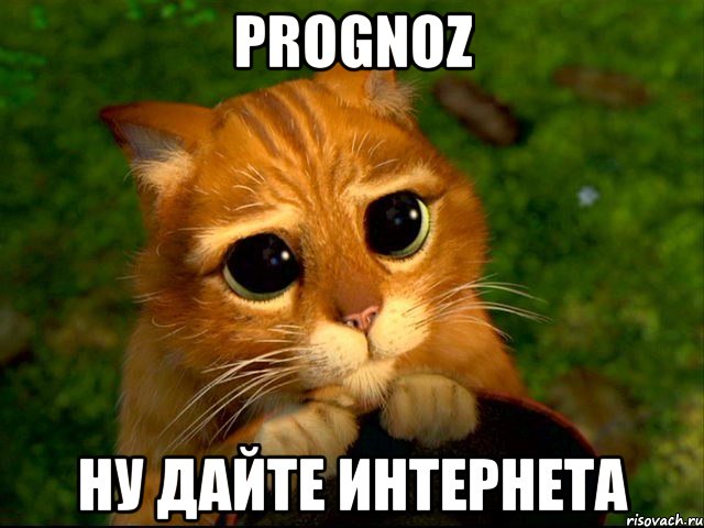 prognoz ну дайте интернета, Мем кот из шрека