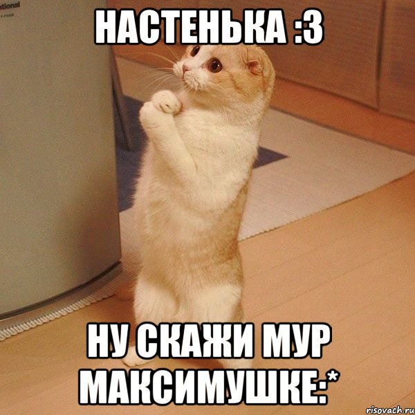 настенька :3 ну скажи мур максимушке:*, Мем  котэ молится