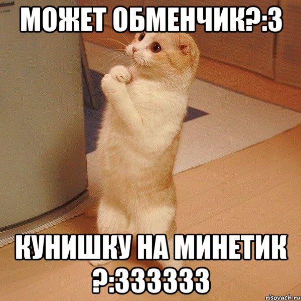 может обменчик?:3 кунишку на минетик ?:333333, Мем  котэ молится