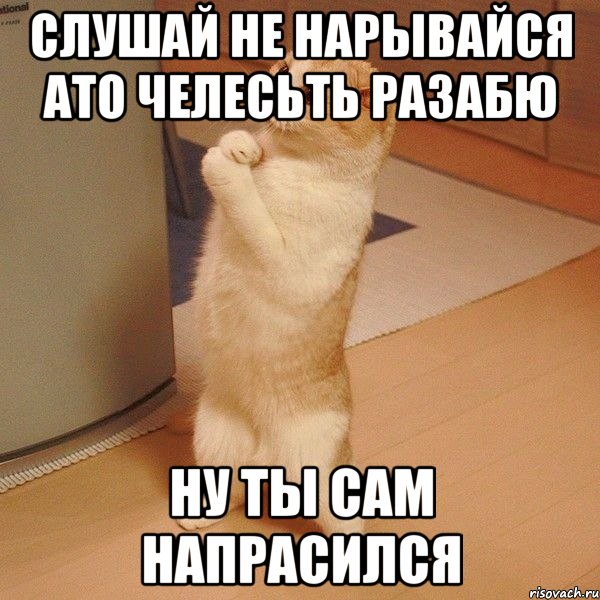 слушай не нарывайся ато челесьть разабю ну ты сам напрасился, Мем  котэ молится