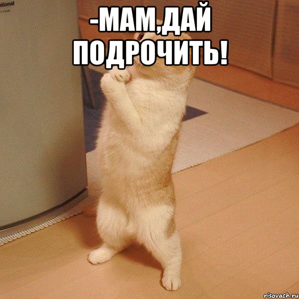 -мам,дай подрочить! , Мем  котэ молится