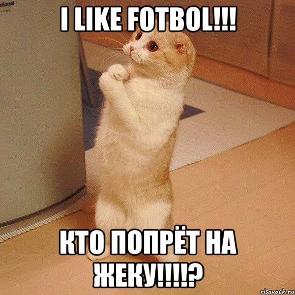 i like fotbol!!! кто попрёт на жеку!!!?, Мем  котэ молится