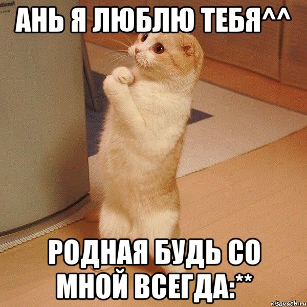 ань я люблю тебя^^ родная будь со мной всегда:**, Мем  котэ молится