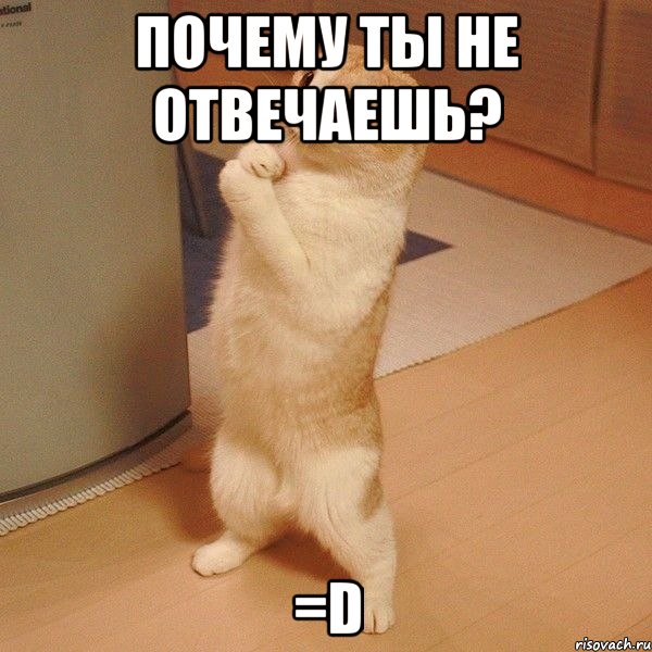 почему ты не отвечаешь? =d, Мем  котэ молится