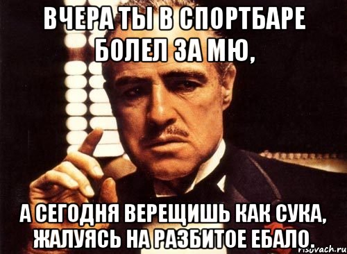 вчера ты в спортбаре болел за мю, а сегодня верещишь как сука, жалуясь на разбитое ебало., Мем крестный отец