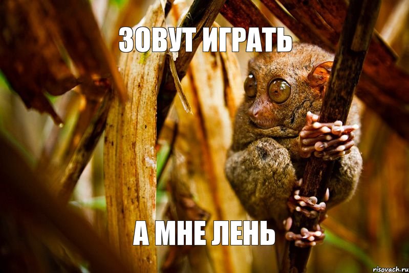 зовут играть а мне лень