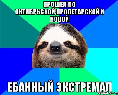 прошел по октябрьской,пролетарской и новой ебанный экстремал, Мем Ленивец