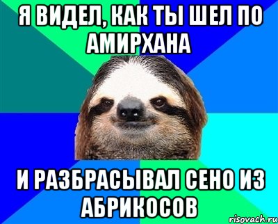 я видел, как ты шел по амирхана и разбрасывал сено из абрикосов, Мем Ленивец