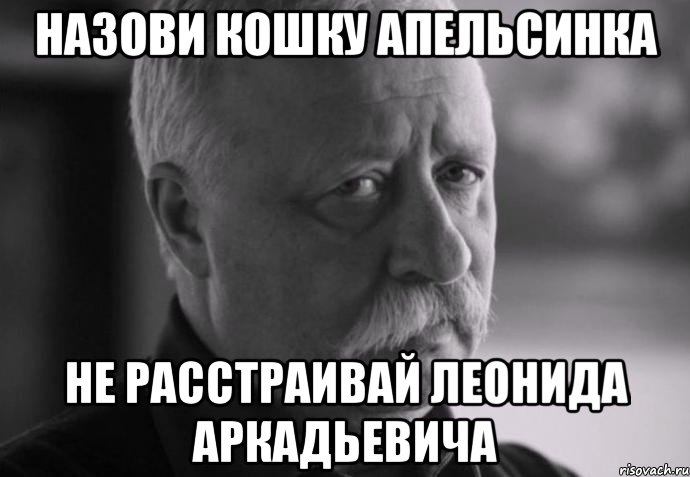 назови кошку апельсинка не расстраивай леонида аркадьевича, Мем Не расстраивай Леонида Аркадьевича