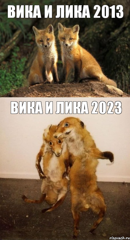 ВИКА И ЛИКА 2013 ВИКА И ЛИКА 2023, Комикс Лисицы