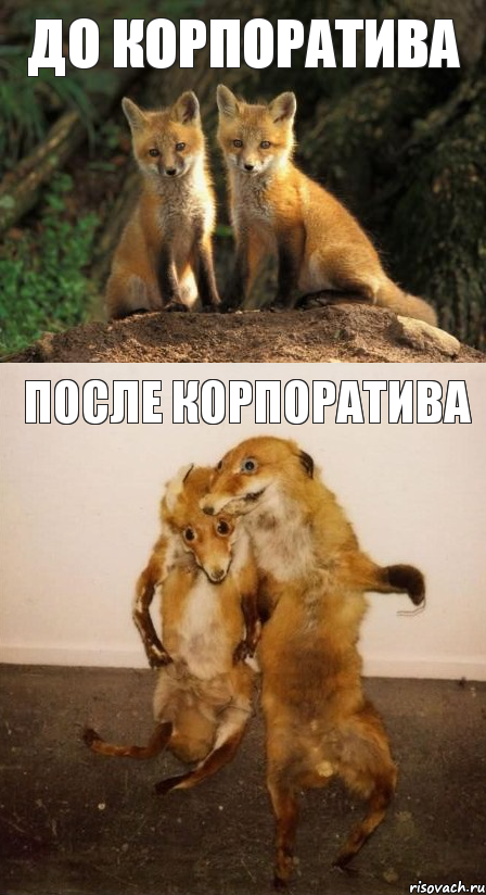 До корпоратива После корпоратива, Комикс Лисицы