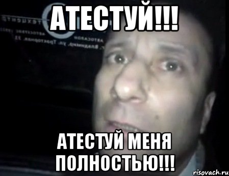 атестуй!!! атестуй меня полностью!!!, Мем Ломай меня полностью