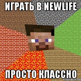 играть в newlife просто классно, Мем Миникрафтер