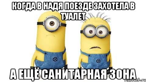 когда в надя поезде захотела в туалет а ещё санитарная зона, Мем Миньоны