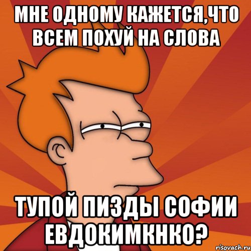 мне одному кажется,что всем похуй на слова тупой пизды софии евдокимкнко?, Мем Мне кажется или (Фрай Футурама)