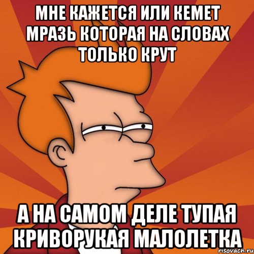 мне кажется или кемет мразь которая на словах только крут а на самом деле тупая криворукая малолетка, Мем Мне кажется или (Фрай Футурама)