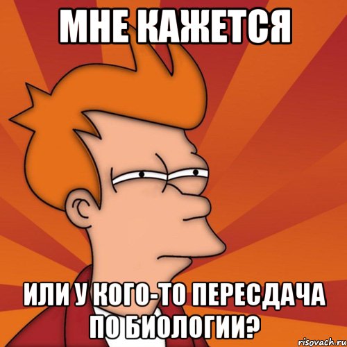 мне кажется или у кого-то пересдача по биологии?, Мем Мне кажется или (Фрай Футурама)