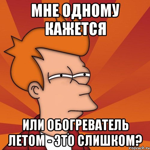 мне одному кажется или обогреватель летом - это слишком?, Мем Мне кажется или (Фрай Футурама)