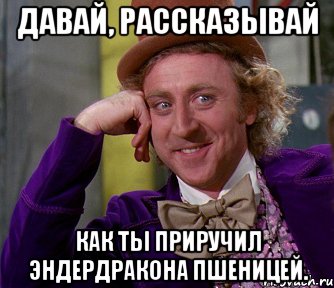 давай, рассказывай как ты приручил эндердракона пшеницей., Мем мое лицо