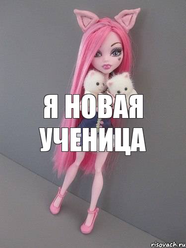 Я новая ученица