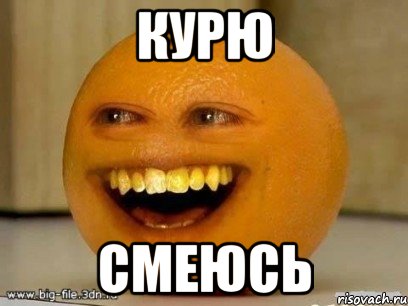 курю смеюсь