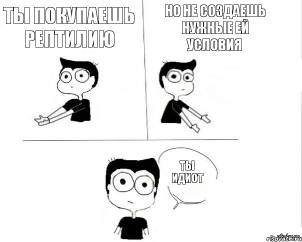 Ты покупаешь рептилию Но не создаешь нужные ей условия Ты идиот, Комикс Не надо так (парень)