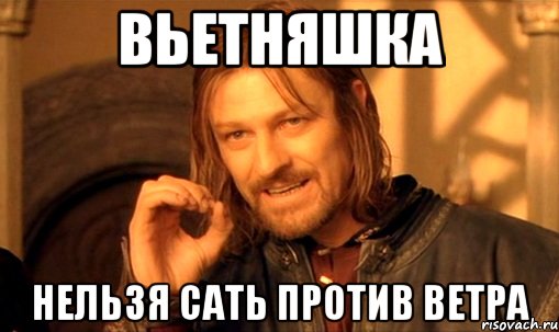 вьетняшка нельзя сать против ветра, Мем Нельзя просто так взять и (Боромир мем)