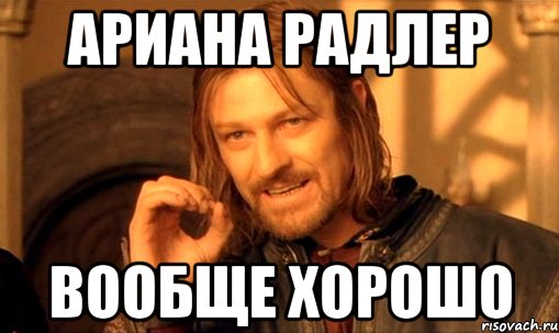 ариана радлер вообще хорошо, Мем Нельзя просто так взять и (Боромир мем)