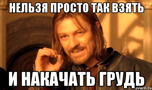 нельзя просто так взять и накачать грудь, Мем Нельзя просто так взять и (Боромир мем)