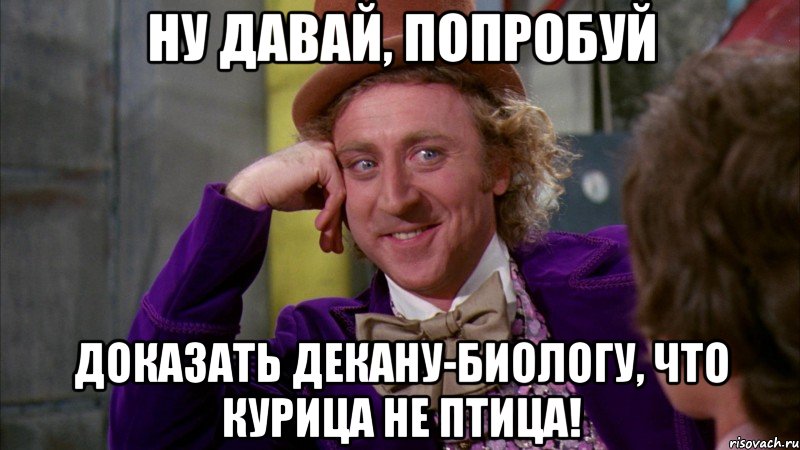 ну давай, попробуй доказать декану-биологу, что курица не птица!, Мем Ну давай расскажи (Вилли Вонка)