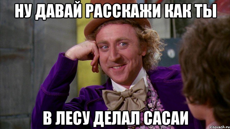 ну давай расскажи как ты в лесу делал сасаи, Мем Ну давай расскажи (Вилли Вонка)