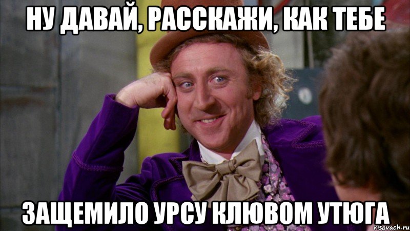 ну давай, расскажи, как тебе защемило урсу клювом утюга, Мем Ну давай расскажи (Вилли Вонка)