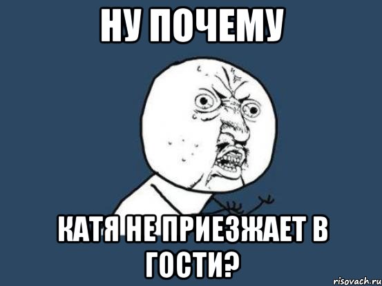 ну почему катя не приезжает в гости?, Мем Ну почему