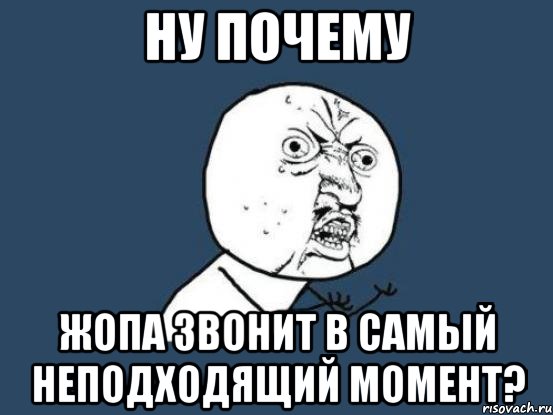 ну почему жопа звонит в самый неподходящий момент?, Мем Ну почему