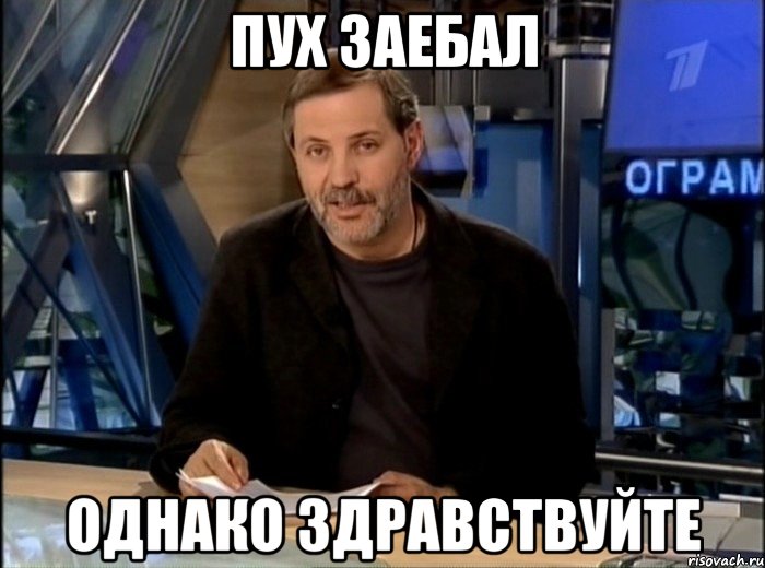 пух заебал однако здравствуйте, Мем Однако Здравствуйте