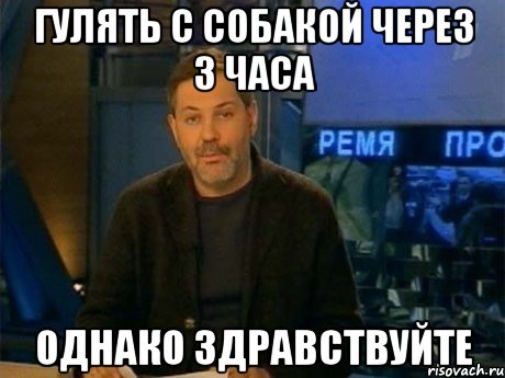 гулять с собакой через 3 часа однако здравствуйте, Мем Однако Здравствуйте