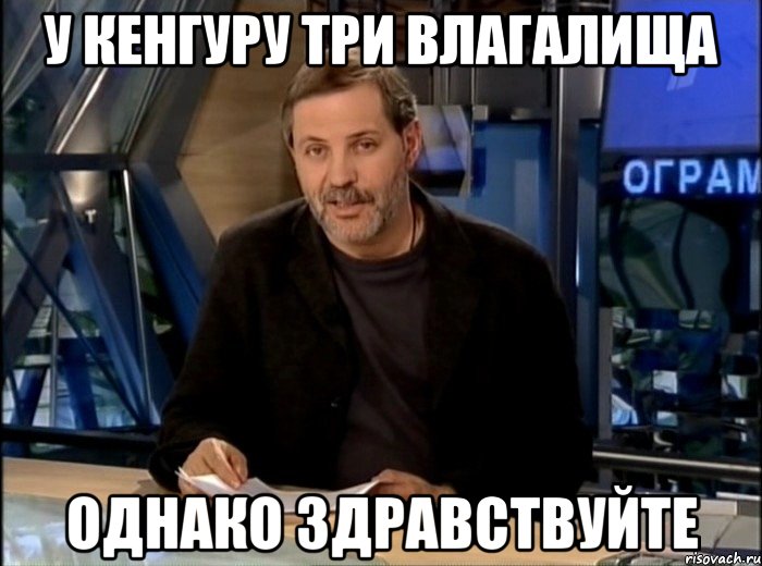 у кенгуру три влагалища однако здравствуйте, Мем Однако Здравствуйте