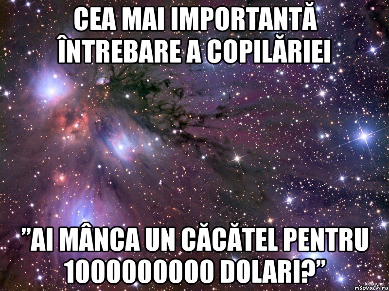 cea mai importantă întrebare a copilăriei ”ai mânca un căcătel pentru 1000000000 dolari?”, Мем Космос