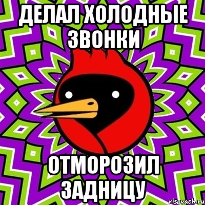 делал холодные звонки отморозил задницу, Мем Омская птица