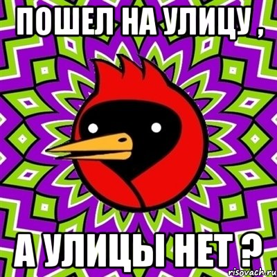 пошел на улицу , а улицы нет ?, Мем Омская птица