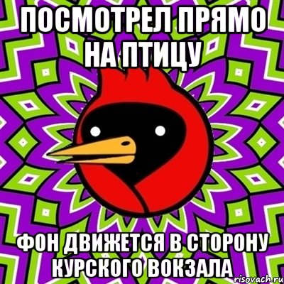 посмотрел прямо на птицу фон движется в сторону курского вокзала, Мем Омская птица