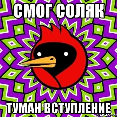 смог соляк туман вступление, Мем Омская птица