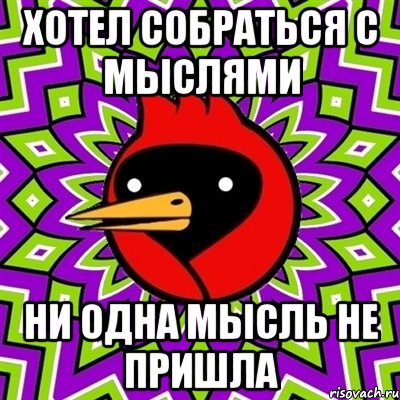 хотел собраться с мыслями ни одна мысль не пришла, Мем Омская птица