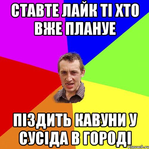 ставте лайк ті хто вже плануе піздить кавуни у сусіда в городі, Мем Чоткий паца