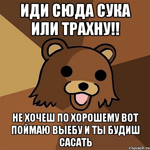 иди сюда сука или трахну!! не хочеш по хорошему вот поймаю выебу и ты будиш сасать, Мем Педобир