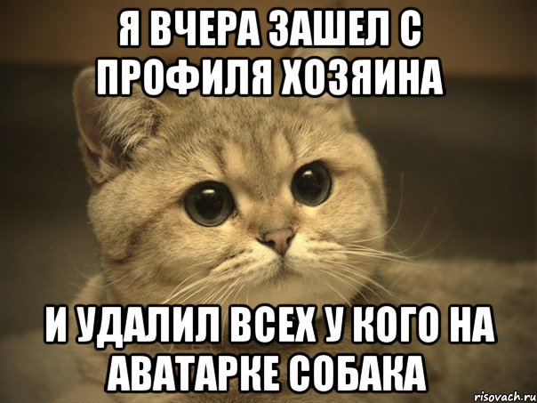 я вчера зашел с профиля хозяина и удалил всех у кого на аватарке собака, Мем Пидрила ебаная котик