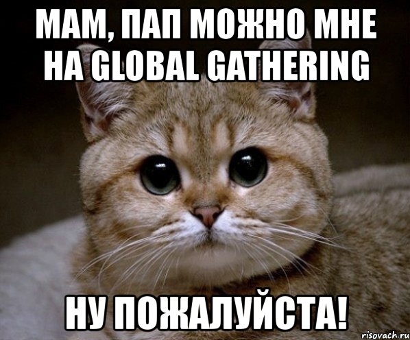 мам, пап можно мне на global gathering ну пожалуйста!, Мем Пидрила Ебаная