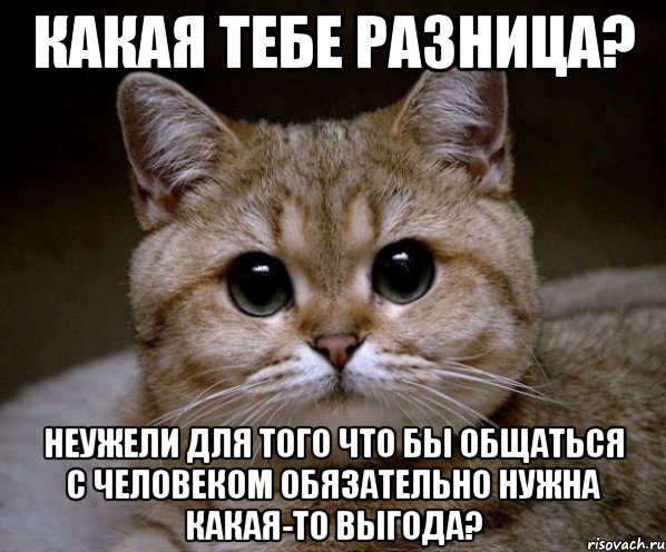 какая тебе разница? неужели для того что бы общаться с человеком обязательно нужна какая-то выгода?, Мем Пидрила Ебаная