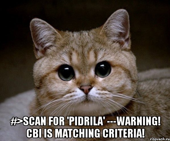  #>scan for 'pidrila' ---warning! cbi is matching criteria!, Мем Пидрила Ебаная