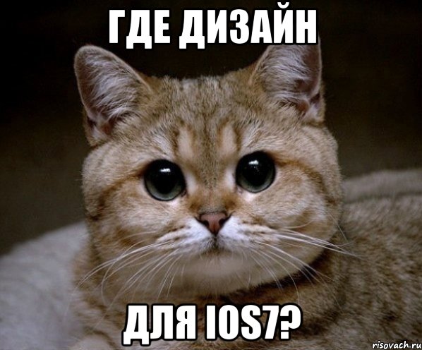 где дизайн для ios7?, Мем Пидрила Ебаная